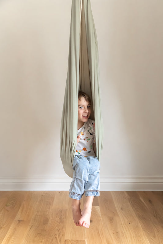 Sensory swing